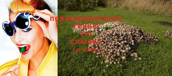 прущие грибы Армянск