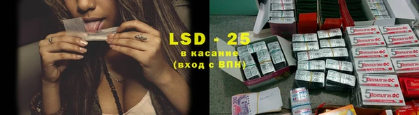 прущие грибы Армянск