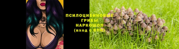 молекула духа Аркадак