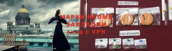 прущие грибы Армянск