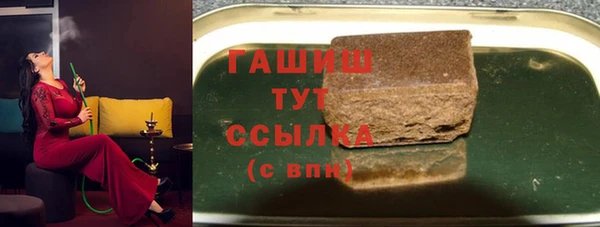 прущие грибы Армянск