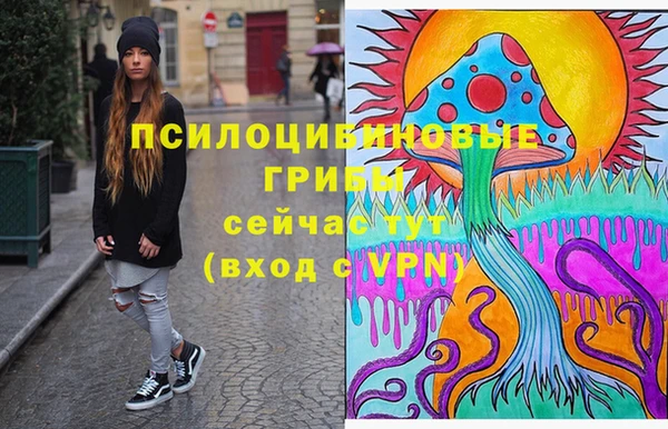 прущие грибы Армянск