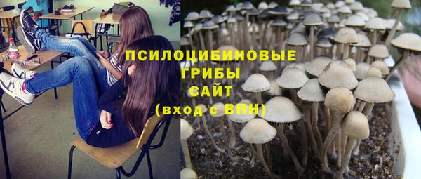 молекула духа Аркадак