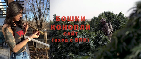 молекула духа Аркадак