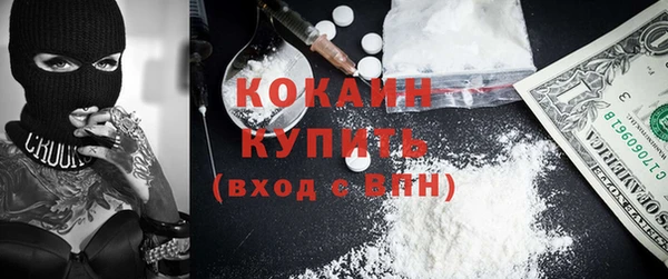 прущие грибы Армянск