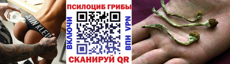 что такое наркотик shop как зайти Псилоцибиновые грибы Psilocybine cubensis Реутов